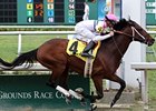 Star Guitar
<br><a target="blank" href="http://www.bloodhorse.com/horse-racing/photo-store?ref=http%3A%2F%2Fpictopia.com%2Fperl%2Fgal%3Fprovider_id%3D368%26ptp_photo_id%3D9463968%26ref%3Dstory">Order This Photo</a>