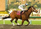 Santa Teresita won the Santa Maria (gr. I) in her 2009 debut. <br><a target="blank" href="http://www.bloodhorse.com/horse-racing/photo-store?ref=http%3A%2F%2Fgallery.pictopia.com%2Fbloodhorse%2Fgallery%2FS642482%2Fphoto%2F7752599%2F%3Fo%3D0">Order This Photo</a>