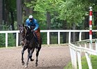 Cozmic One
<br><a target="blank" href="http://photos.bloodhorse.com/AtTheRaces-1/At-the-Races-2014/i-tsfF4bB">Order This Photo</a>