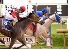 Godolphin Entry Has Edge in Strong Forego Godolphin Entry Has Edge in Strong Forego