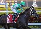 Soldat is the morning-line favorite in the Florida Derby.<br><a target="blank" href="http://www.bloodhorse.com/horse-racing/photo-store?ref=http%3A%2F%2Fpictopia.com%2Fperl%2Fgal%3Fprovider_id%3D368%26ptp_photo_id%3D9423449%26ref%3Dstory">Order This Photo</a>