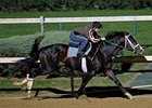 Flat Out Works 5 Furlongs at Churchill Flat Out Works 5 Furlongs at Churchill