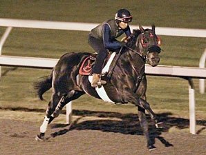 Here Comes Ben Sharp in Keeneland Work Here Comes Ben Sharp in Keeneland Work