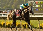 Zensational goes for his third consecutive grade I win in the $300,000 Pat O'Brien.
<br><a target="blank" href="http://www.bloodhorse.com/horse-racing/photo-store?ref=http%3A%2F%2Fpictopia.com%2Fperl%2Fgal%3Fprovider_id%3D368%26ptp_photo_id%3D8393796%26ref%3Dstory">Order This Photo</a>