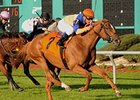 Zagora won the March 10 Hillsborough Stakes by 1 3/4 lengths.