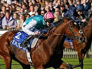 Frankel Fantastic in Dewhurst Romp Frankel Fantastic in Dewhurst Romp