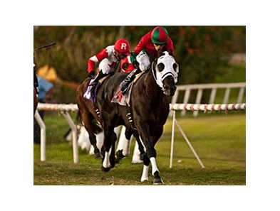 Ultimate Eagle in the Hollywood Derby.