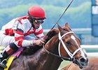 Solar Flare Looks to Shine in Stuyvesant Solar Flare Looks to Shine in Stuyvesant