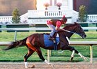 Rachel Alexandra Works Toward June 12 Start Rachel Alexandra Works Toward June 12 Start