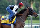 Game On Dude <br><a target="blank" href="http://photos.bloodhorse.com/BreedersCup/2013-Breeders-Cup/Breeders-Cup/32986083_QMHXWK#!i=2867173187&k=rc8zLGb">Order This Photo</a>