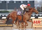 May Night Stakes winner Lady Cohiba