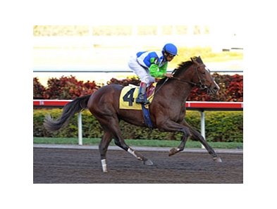 Nicanor, full-brother to Derby winner Barbaro.<br><a target="blank" href="http://www.bloodhorse.com/horse-racing/photo-store?ref=http%3A%2F%2Fpictopia.com%2Fperl%2Fgal%3Fprovider_id%3D368%26ptp_photo_id%3D7610203%26ref%3Dstory">Order This Photo</a>
