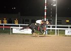 Ben's Cat comes home strong to win the Fabulous Strike.