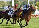 Eclair de Lune takes on 7 in the Santa Ana Stakes.