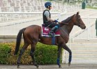 Jakkalberry is the 9-5 morning line favorite for the American St. Leger.