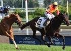 Maiden Miami Deco ran down favorites Stormy Lord and Cognashene to produce a record payoff in Woodbine's Breeders' Stakes.