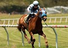 Dhaamer wins the Sunset Handicap.