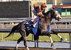 Zaftig was sold for $1.4 million dollars during the Fasig-Tipton November sale.