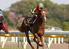 Orfevre wins the 2011 Two Thousand Guineas in Japan.
<br><a target="blank" href="http://www.bloodhorse.com/horse-racing/photo-store?ref=http%3A%2F%2Fpictopia.com%2Fperl%2Fgal%3Fprovider_id%3D368%26ptp_photo_id%3D9501267%26ref%3Dstory">Order This Photo</a>