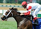 Schwartz Filly Samitar Eyes Lake George Schwartz Filly Samitar Eyes Lake George