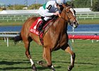 Dynamic Holiday has won 4 in a row, including the Hercomesthebride Stakes (shown).<br><a target="blank" href="http://www.bloodhorse.com/horse-racing/photo-store?ref=http%3A%2F%2Fpictopia.com%2Fperl%2Fgal%3Fprovider_id%3D368%26ptp_photo_id%3D9446693%26ref%3Dstory">Order This Photo</a>