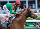 Animal Kingdom<br><a target="blank" href="http://www.bloodhorse.com/horse-racing/photo-store?ref=http%3A%2F%2Fpictopia.com%2Fperl%2Fgal%3Fprovider_id%3D368%26ptp_photo_id%3D9517789%26ref%3Dstory">Order This Photo</a>