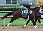 Flying Private breezes at Churchill Downs on the morning of May 11.