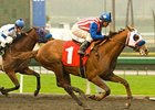 Take Control makes his first stakes start in the San Diego Handicap.