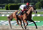 D' Funnybone -- Throw out BC Juvenile and he's hard to fault; distance so-so<br><a target="blank" href="http://www.bloodhorse.com/horse-racing/photo-store?ref=http%3A%2F%2Fpictopia.com%2Fperl%2Fgal%3Fprovider_id%3D368%26ptp_photo_id%3D8494175%26ref%3Dstory">Order This Photo</a>