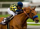Grade I winner Misremembered takes on 5 in the Oaklawn Handicap.<br><a target="blank" href="http://www.bloodhorse.com/horse-racing/photo-store?ref=http%3A%2F%2Fpictopia.com%2Fperl%2Fgal%3Fprovider_id%3D368%26ptp_photo_id%3D8830331%26ref%3Dstory">Order This Photo</a>