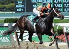 Believe You Can has won 3 in a row, including the Tempted Stakes.<br><a target="blank" href="http://www.bloodhorse.com/horse-racing/photo-store?ref=http%3A%2F%2Fpictopia.com%2Fperl%2Fgal%3Fprovider_id%3D368%26ptp_photo_id%3D9688147%26ref%3Dstory">Order This Photo</a>