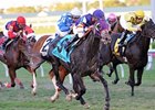 Mucho Mas Macho gets up late to win the Ft. Lauderdale Stakes.<br><a target="blank" href="http://photos.bloodhorse.com/AtTheRaces-1/at-the-races-2013/27257665_QgCqdh#!i=2316710333&k=vWsLFsf">Order This Photo</a>