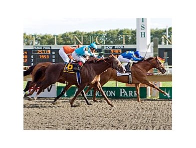 Gran Estreno outfinishes Giant Oak and Mad Flatter to repeat in the Washington Park Handicap.