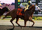 Stealcase pulls away late to win the Ontario Derby.