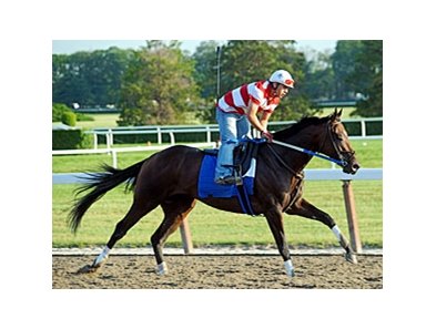 Nehro<br><a target="blank" href="http://www.bloodhorse.com/horse-racing/photo-store?ref=http%3A%2F%2Fpictopia.com%2Fperl%2Fgal%3Fprovider_id%3D368%26ptp_photo_id%3D9553235%26ref%3Dstory">Order This Photo</a>