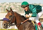 Student Council tries the turf for the first time since December 2006 in the John B. Connally Turf Handicap.<br><a target="blank" href="http://www.bloodhorse.com/horse-racing/photo-store?ref=http%3A%2F%2Fpictopia.com%2Fperl%2Fgal%3Fprovider_id%3D368%26ptp_photo_id%3D2064001%26ref%3Dstory">Order This Photo</a>