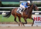 Nicole H is the likely favorite for Saturday's Robert M. O'Malley Sprint Stakes.<br><a target="blank" href="http://www.bloodhorse.com/horse-racing/photo-store?ref=http%3A%2F%2Fpictopia.com%2Fperl%2Fgal%3Fprovider_id%3D368%26ptp_photo_id%3D9311764%26ref%3Dstory">Order This Photo</a>