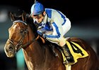 Cease in the Maxxam Gold Cup