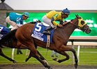 Negligee comes home fast to take the Alcibiades over She Be Wild.<br><a target="blank" href="http://www.bloodhorse.com/horse-racing/photo-store?ref=http%3A%2F%2Fpictopia.com%2Fperl%2Fgal%3Fprovider_id%3D368%26ptp_photo_id%3D8544814%26ref%3Dstory">Order This Photo</a>