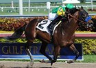 Citrus Kid was a winner in his his first start since September of 2011.<br><a target="blank" href="http://photos.bloodhorse.com/AtTheRaces-1/at-the-races-2012/22274956_jFd5jM#!i=2281934061&k=swSJBX7">Order This Photo</a>