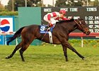 Millionaire multiple Grade I winner Precious Kitten has been sold for an undisclosed amount to Roy and Gretchen Jackson's Lael Stable.