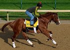 Shackleford
<br><a target="blank" href="http://www.bloodhorse.com/horse-racing/photo-store?ref=http%3A%2F%2Fpictopia.com%2Fperl%2Fgal%3Fprovider_id%3D368%26ptp_photo_id%3D9506223%26ref%3Dstory">Order This Photo</a>