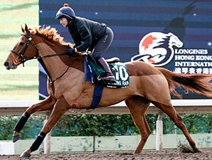 Tattersalls to Offer Dual Oaks Winner Tattersalls to Offer Dual Oaks Winner