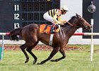 Silver Max has won 5 in a row.