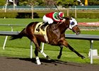 Zeewat won the Gold Rush Stakes on December 8 at Golden Gate.