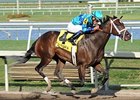 Live Lively
<br><a target="blank" href="http://photos.bloodhorse.com/AtTheRaces-1/at-the-races-2013/27257665_QgCqdh#!i=2379019579&k=bG2PMXT">Order This Photo</a>