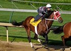 Friesan Fire working out prior to the Kentucky Derby <br><a target="blank" href="http://www.bloodhorse.com/horse-racing/photo-store?ref=http%3A%2F%2Fpictopia.com%2Fperl%2Fgal%3Fprovider_id%3D368%26ptp_photo_id%3D8045146%26ref%3Dstory">Order This Photo</a>