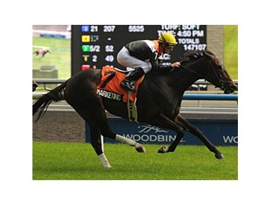 Marketing Mix' wins this year include the Nassau at Woodbine.