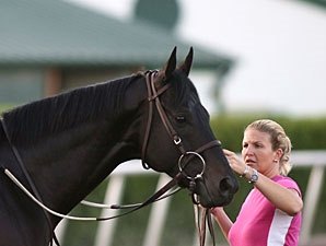 Einstein Flying Under Radar For BC Classic Einstein Flying Under Radar For BC Classic