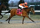 Absolutely Cindy shows the boys her heels in the John Battaglia Memorial Stakes.